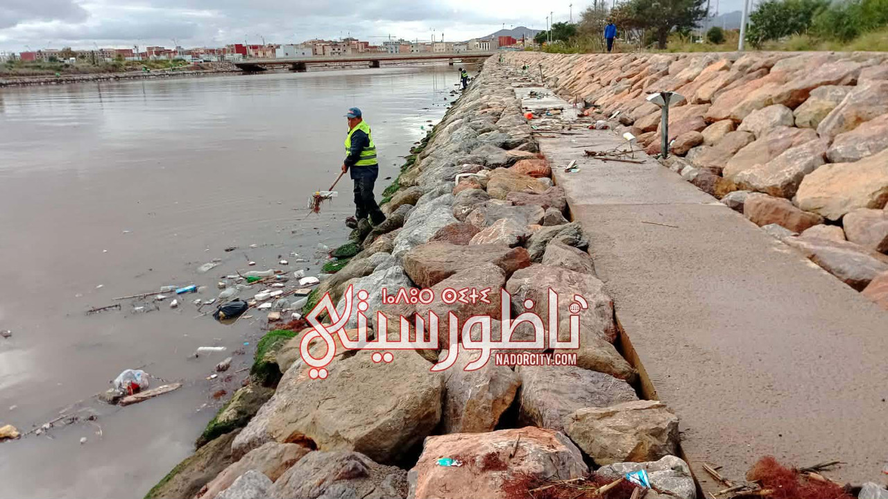 609854007-1979919876254422-3378437880157996078-n