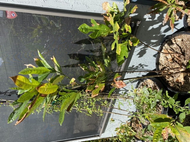 B0B5D8B3-D81E-4D1D-A1BA-A85AF4084A05