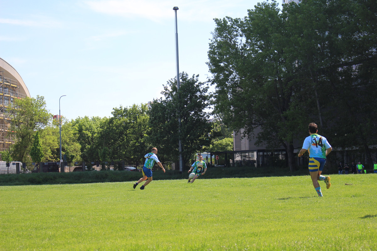 IMG-0312