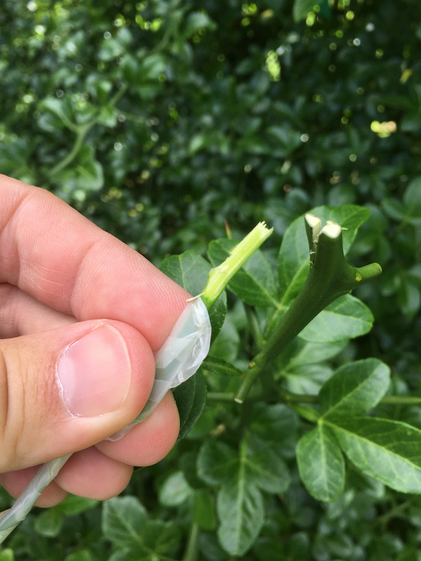 5F9E6D3D-A09D-4409-AF9A-1EDA6F7244D5