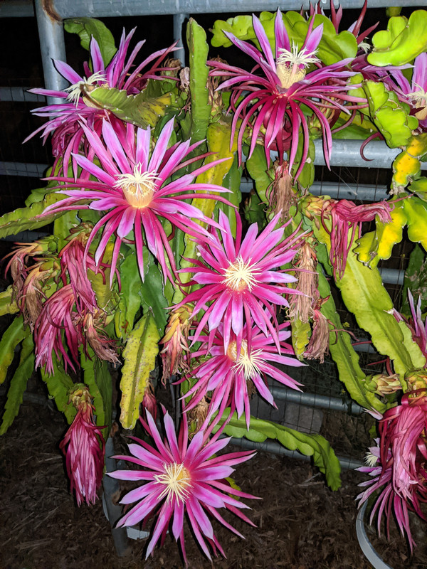 download_20200610_231228