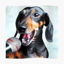 [Image: t-l-chargement-3.jpg]