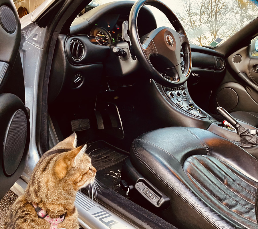 2522F23F-6C48-476D-9F81-32FA2E7571EE