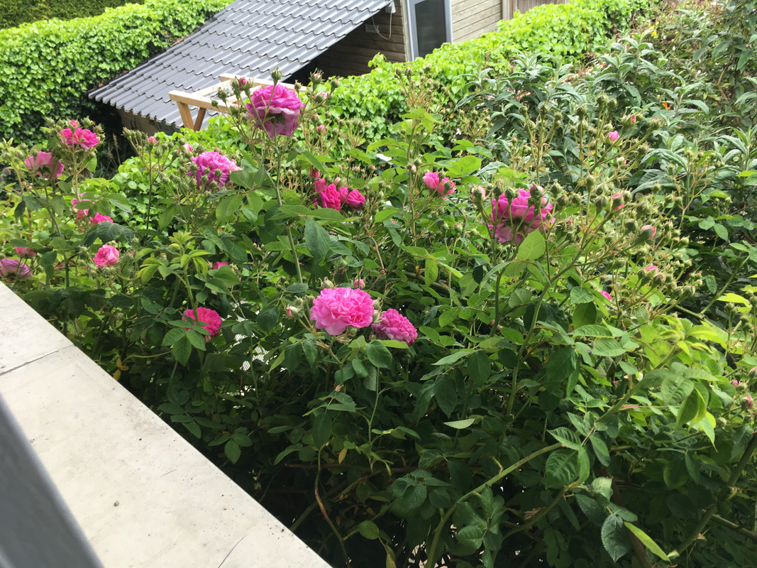 12FDB058-1C64-4AC0-8E0D-3D87E45CE5AB