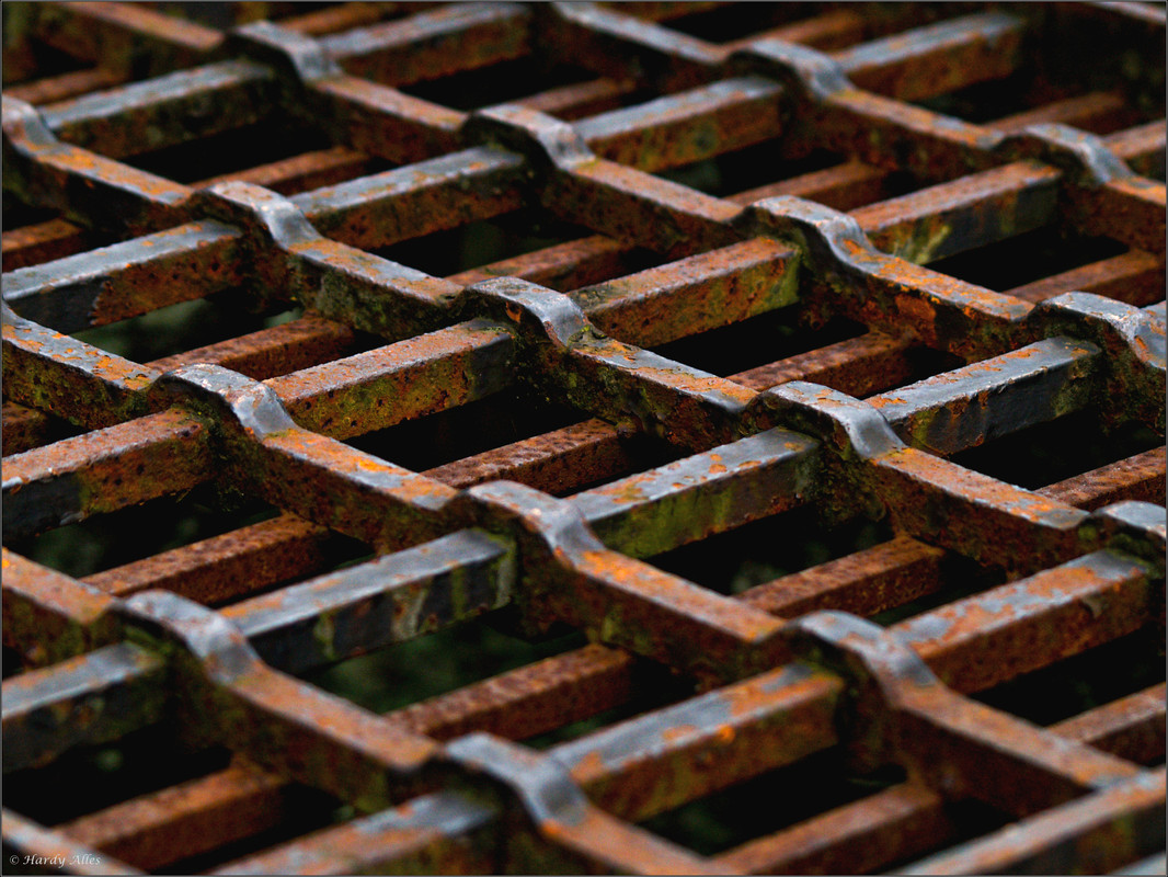 P4034368 2008 Diverse LR ERWZ FB