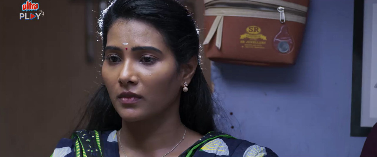 Adharma Kadhaigal 2024 WebRip [Hindi + Tamil] 480p 720p ESub Screenshot