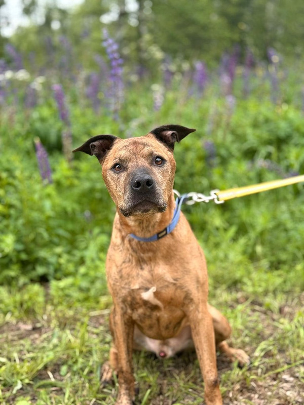 WhatsApp Image 2025-06-20 at 00.21.21 (1)