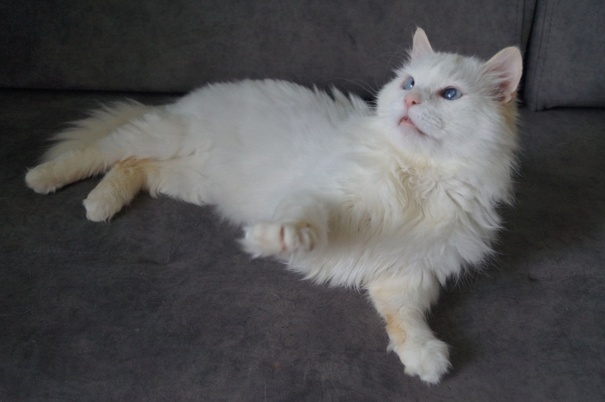 Альбус_19_11_6