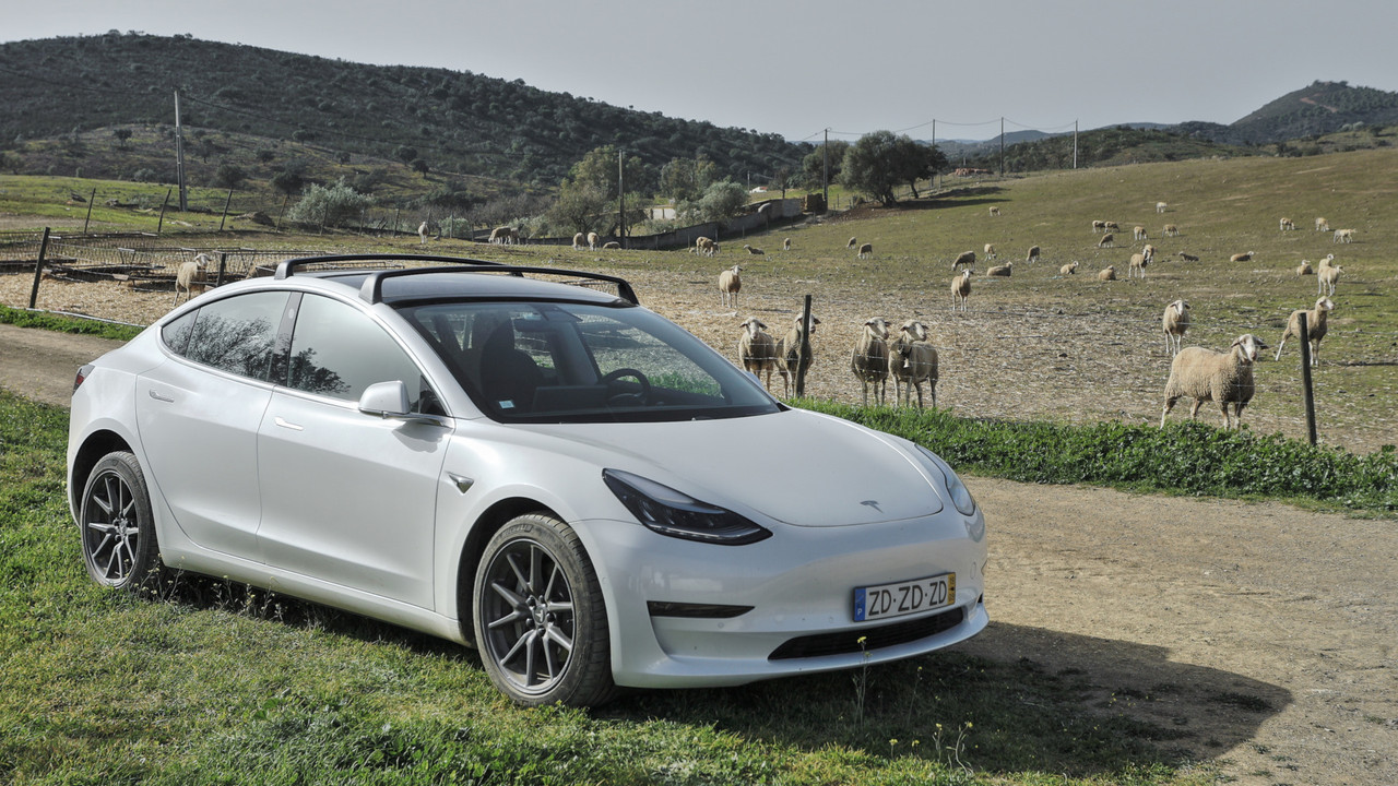 20220123T113904_IMG_77745