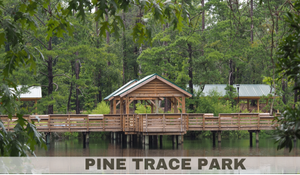 Pine Trace Natural Area General