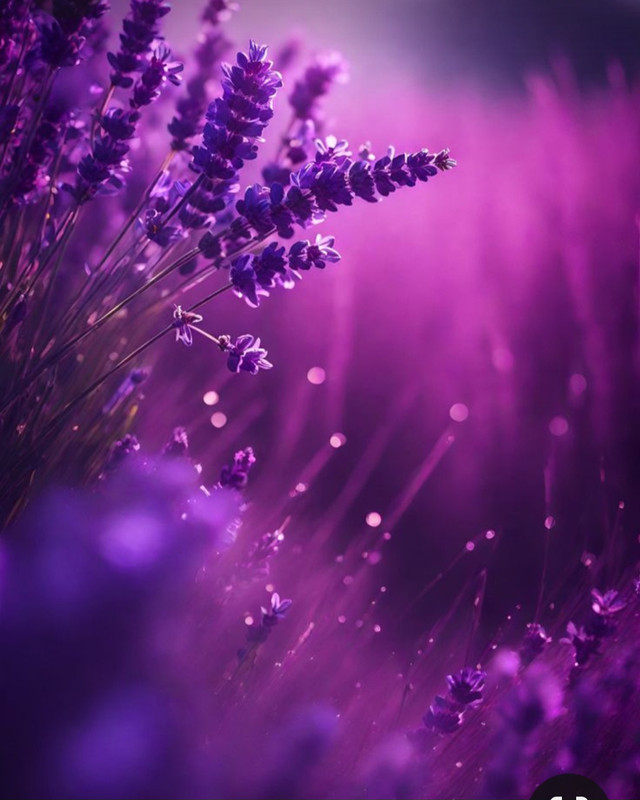 Screenshot_20231107_203050_Pinterest