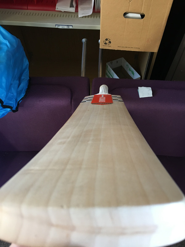 9A7AA372-B86C-48AC-B211-5BEF5173E16A