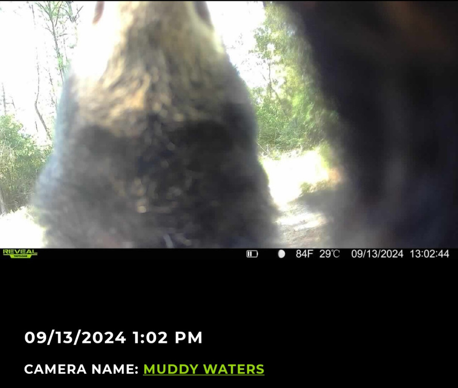 Screenshot_20240913_132222_Reveal