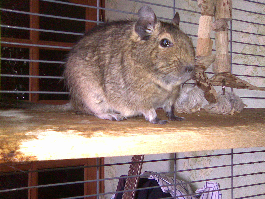 Image065