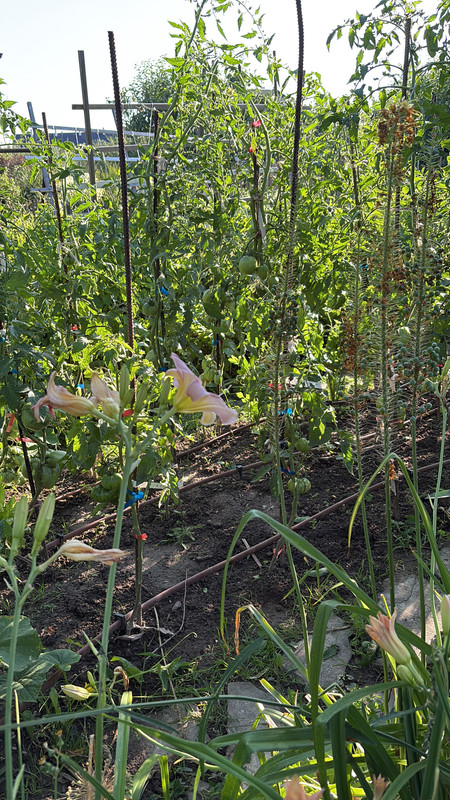 5C74246D-D479-4F79-8B2F-B670510AD7E3