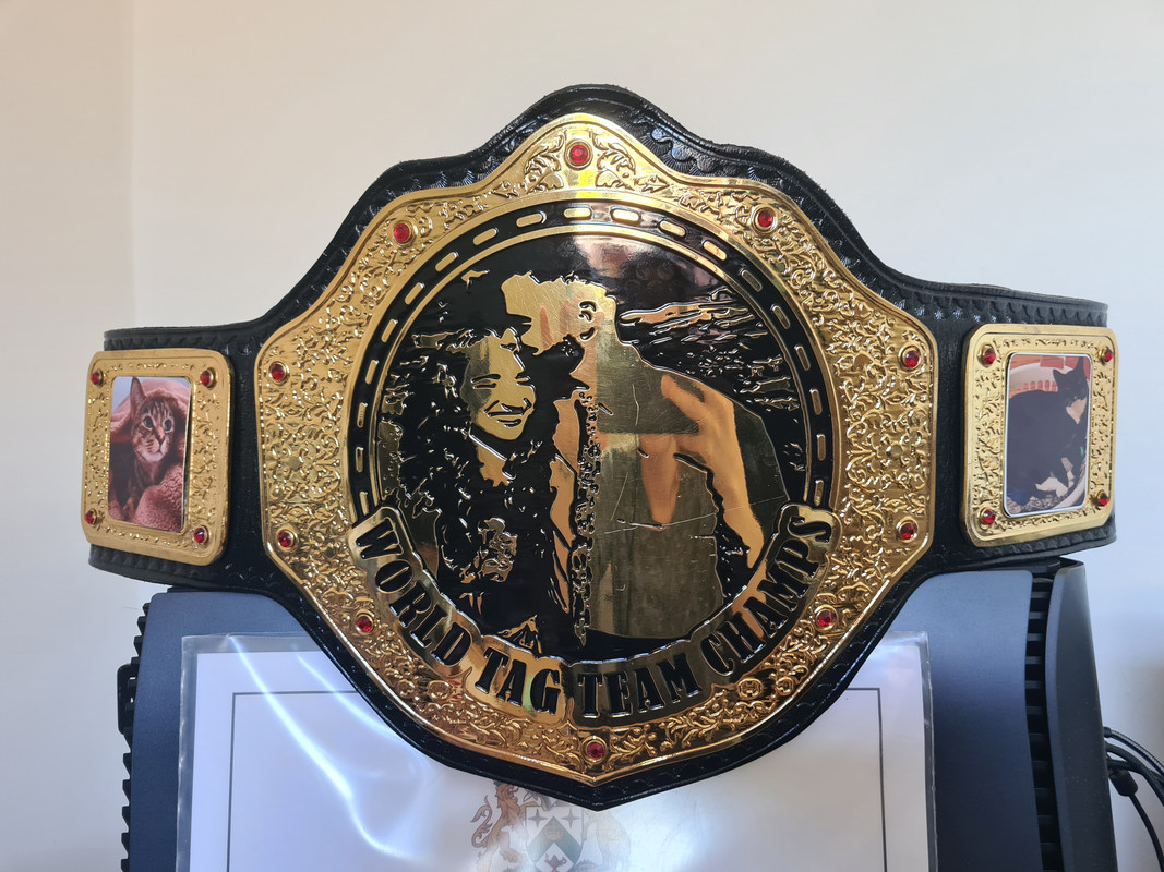 16697823321823590099675166003039