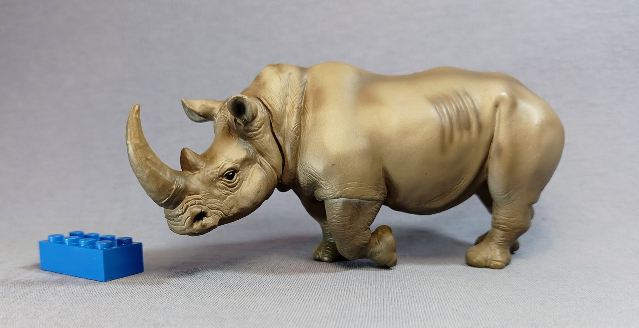 Eikoh big White rhino walkaround by Costicuba