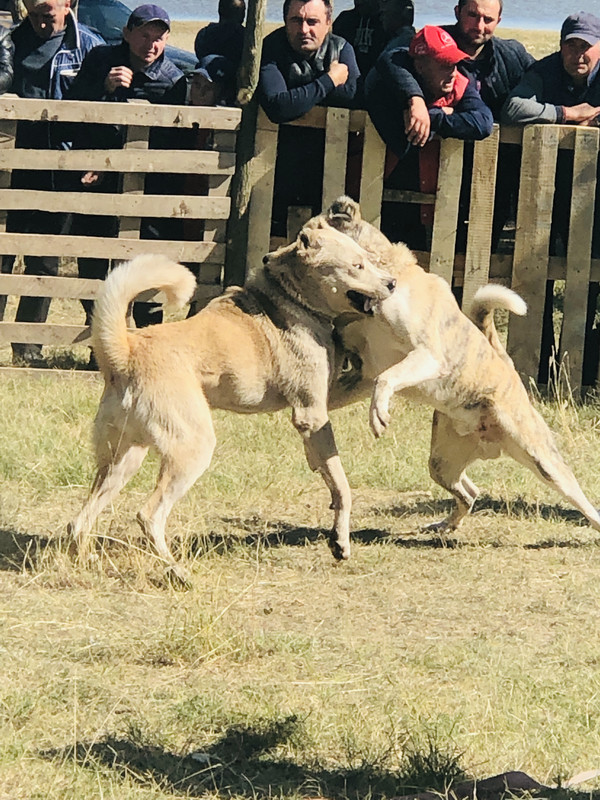 FF8CE4E0-5E51-4CE3-B30A-A47FF09584FC