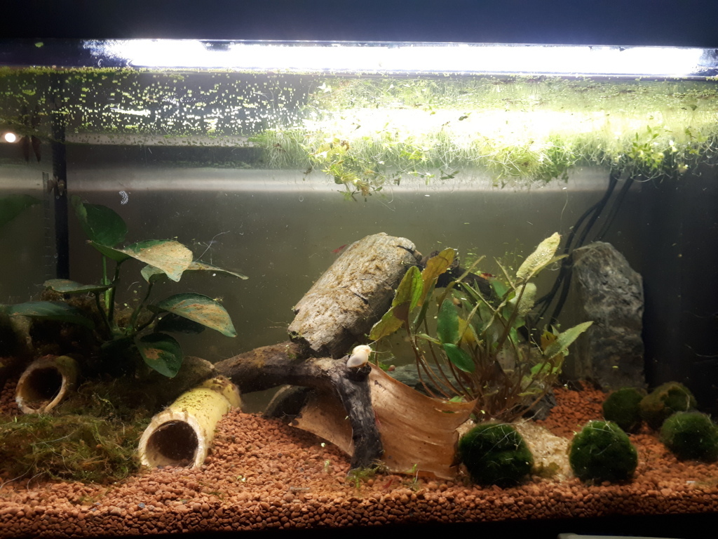 20190531mig1 (FILEminimizer)