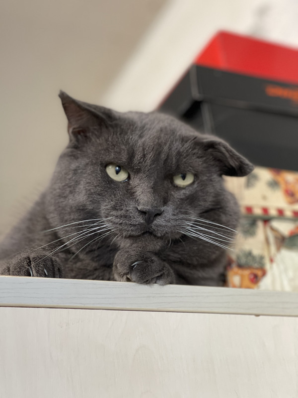 E5F5B051-3B07-4063-ACBB-765721A4CBE5