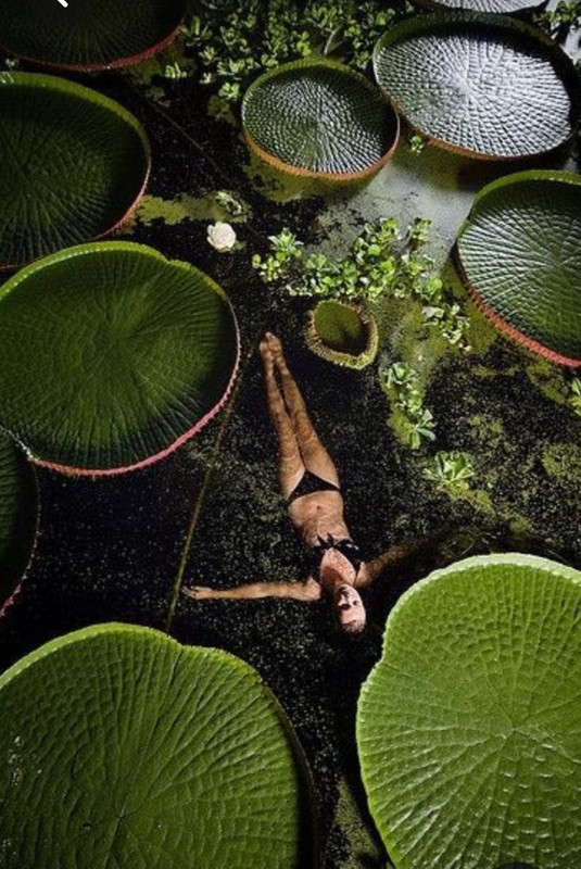 Screenshot_20230515_185920_Pinterest