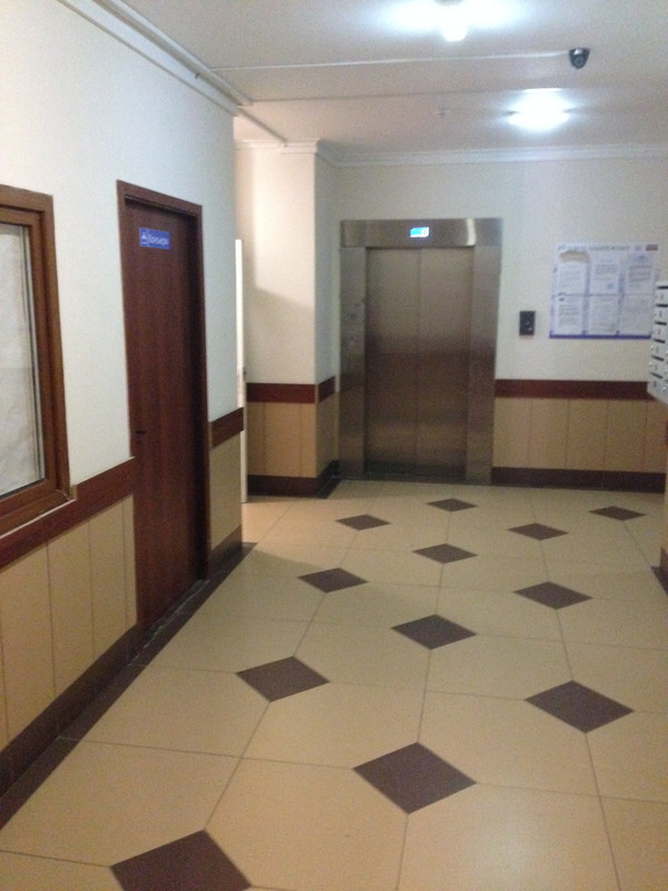 Миша фотки айфон 676