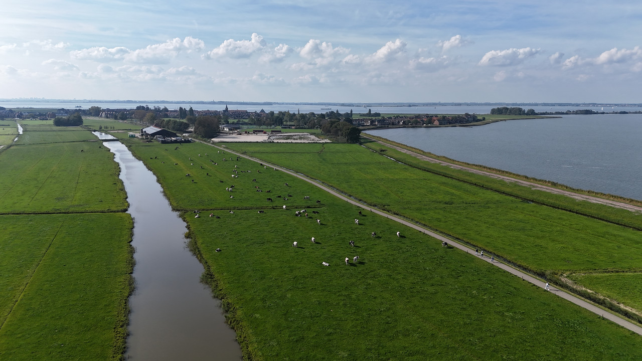 Трое в Амстердаме, не считая собаки. Переезд в Нидерланды.