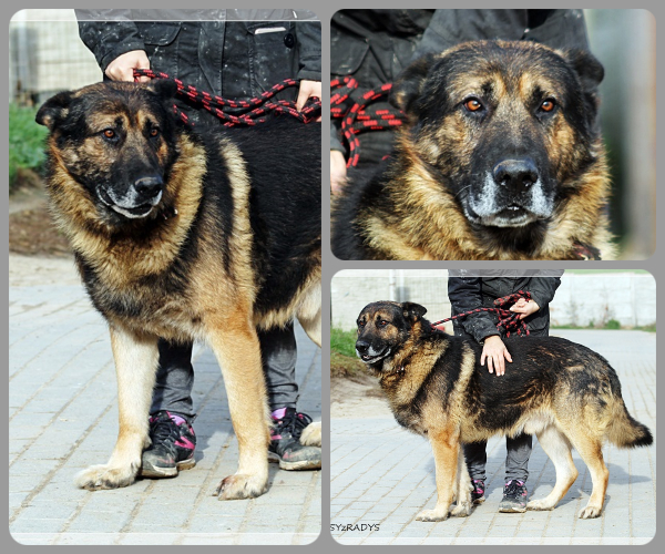 BeFunky-collage (26)