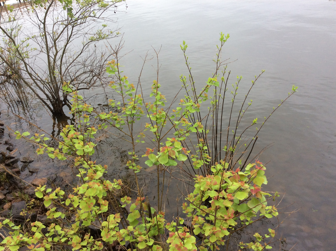 A4C8E14A-8185-4622-B223-90409415CCF0