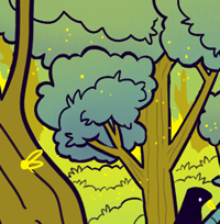 morning forests