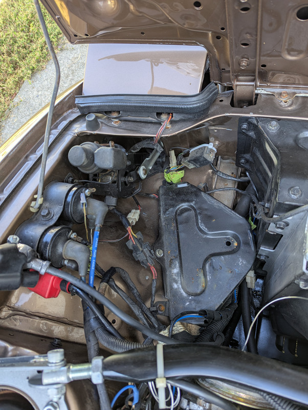 PXL_20250818_000533663