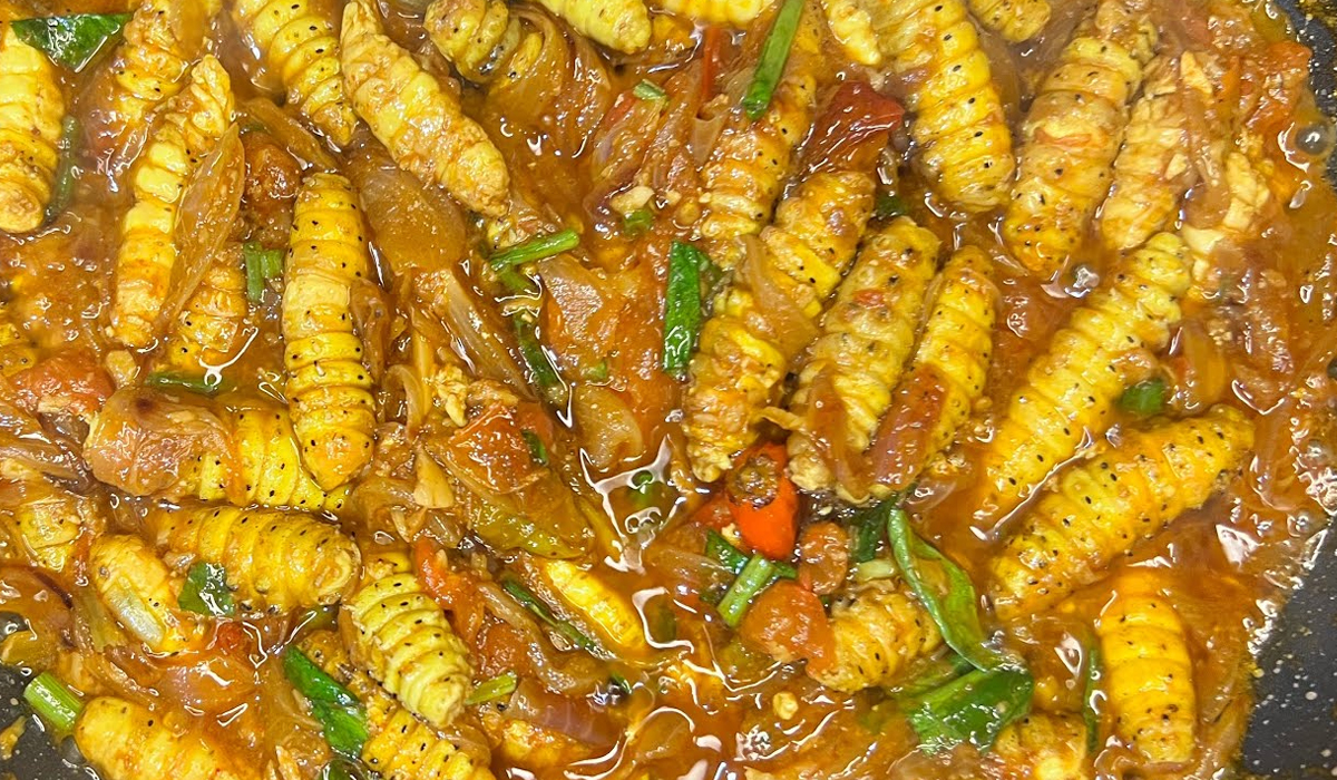 Kaya Nutrisi, Ramah Lingkungan