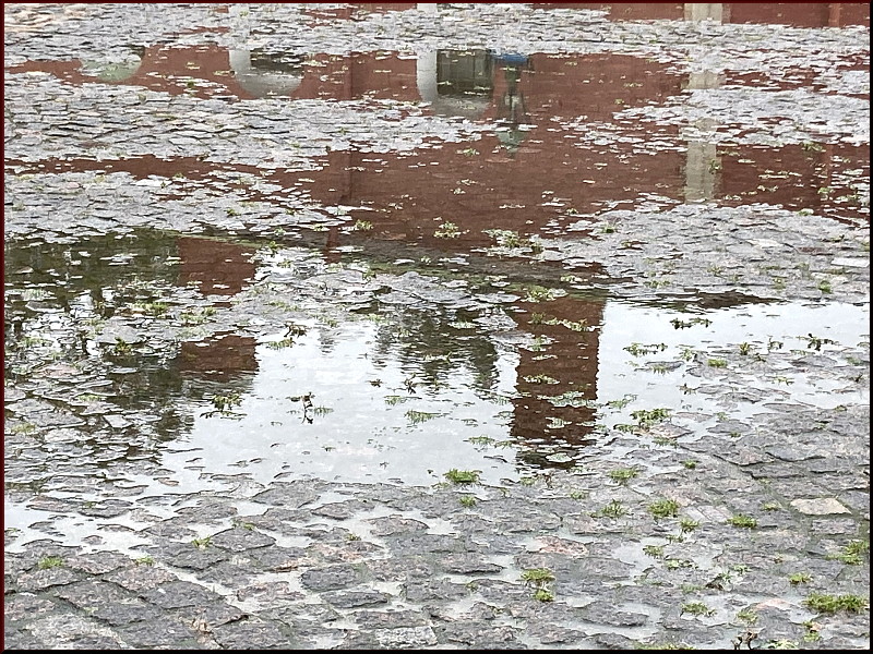 https://i.postimg.cc/3w0rz2t7/IMG-3770-jpg.jpg