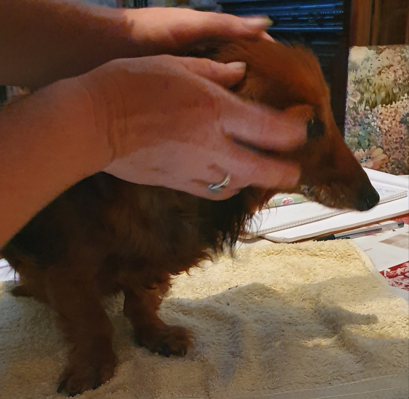 [Image: 20220615-160721.jpg]