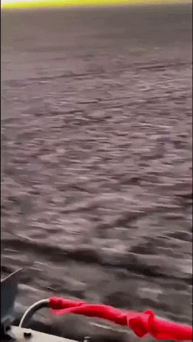 https://i.postimg.cc/3w15k7r2/video-2026-06-29-06-23-41-(1).gif