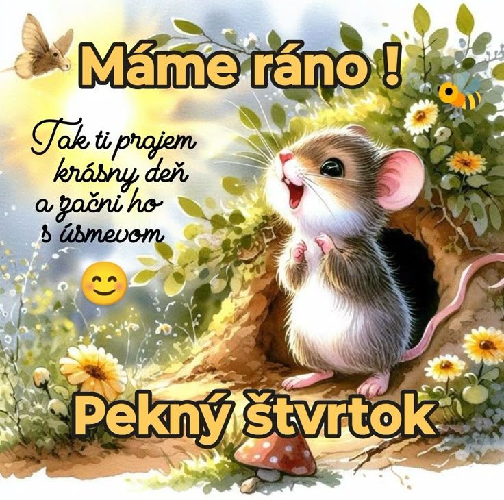 668769671-1719256052438355-7687110792079756141-n