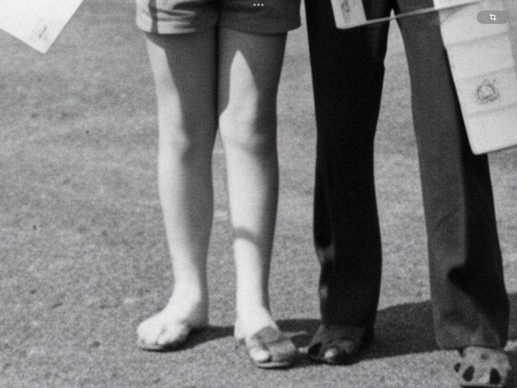 [Image: IMG-3694.png]