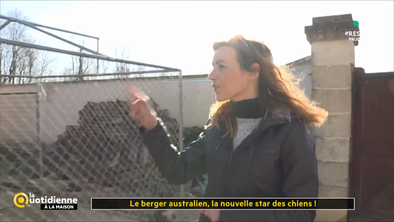 2020-05-27_11_55_Fr5_La-quotidienne.mp4_snapshot_00.33.50.468