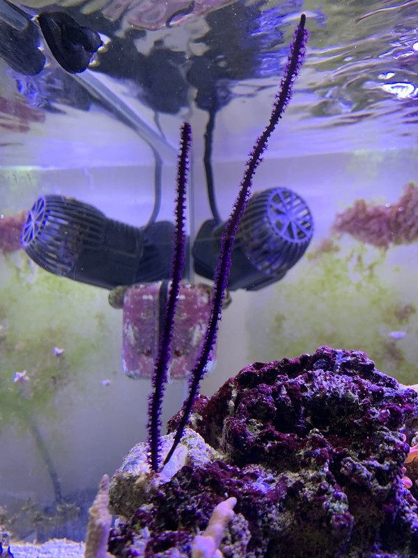 1D96C2AD-E8E9-4201-B3A9-40864F5531DE