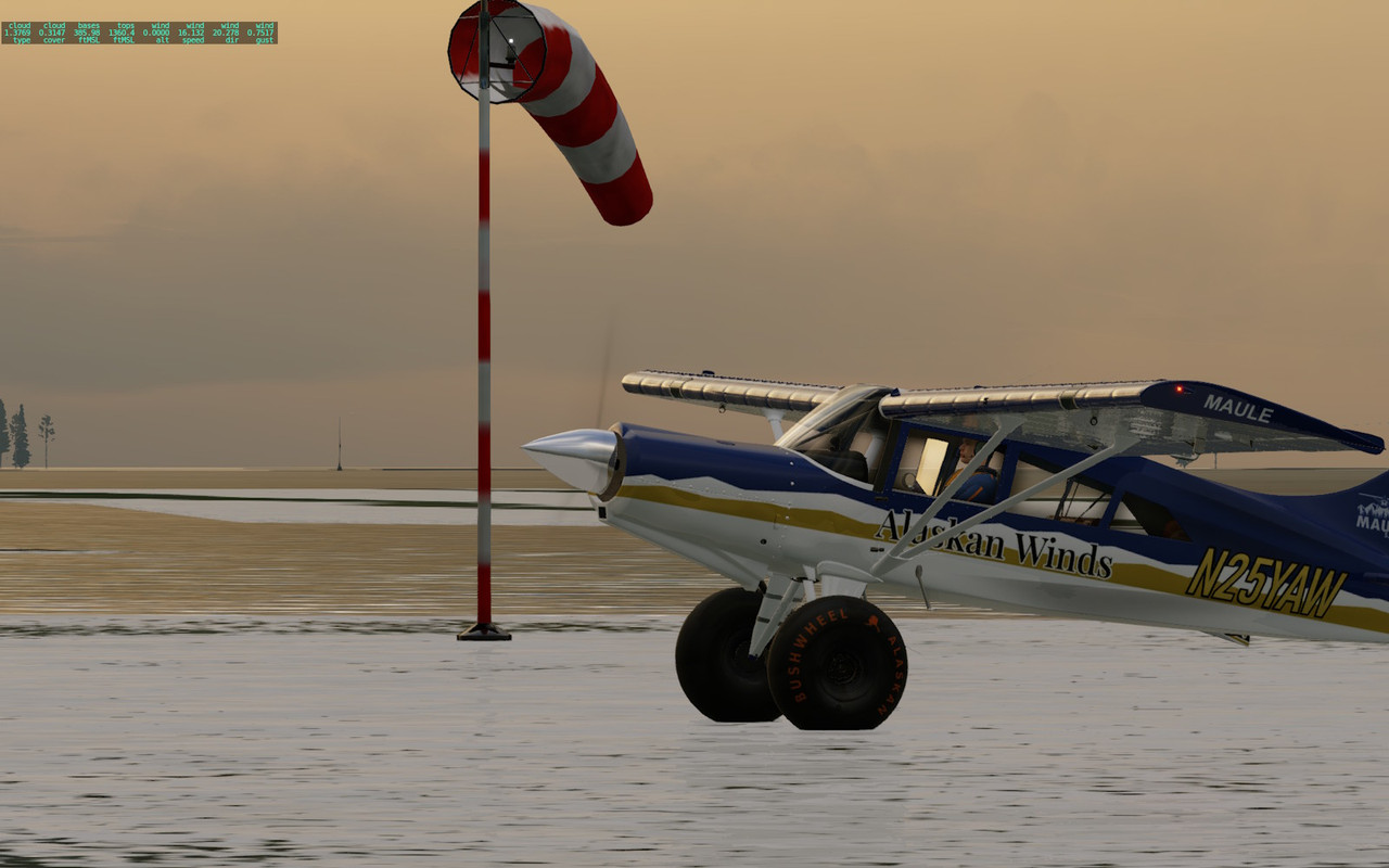 [Image: 20251114-AER003-PABE-PAGG-17.jpg]