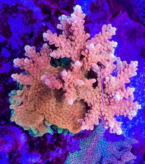 10E0ECB9-2949-4289-AFB6-79EF0C929E2F