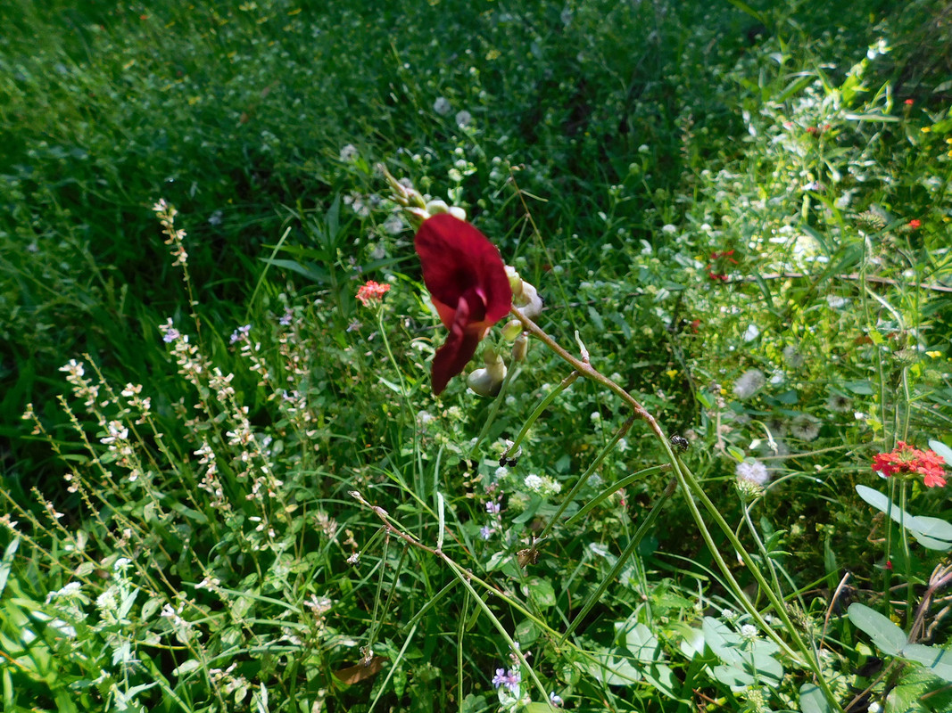 DSCN0205.jpg