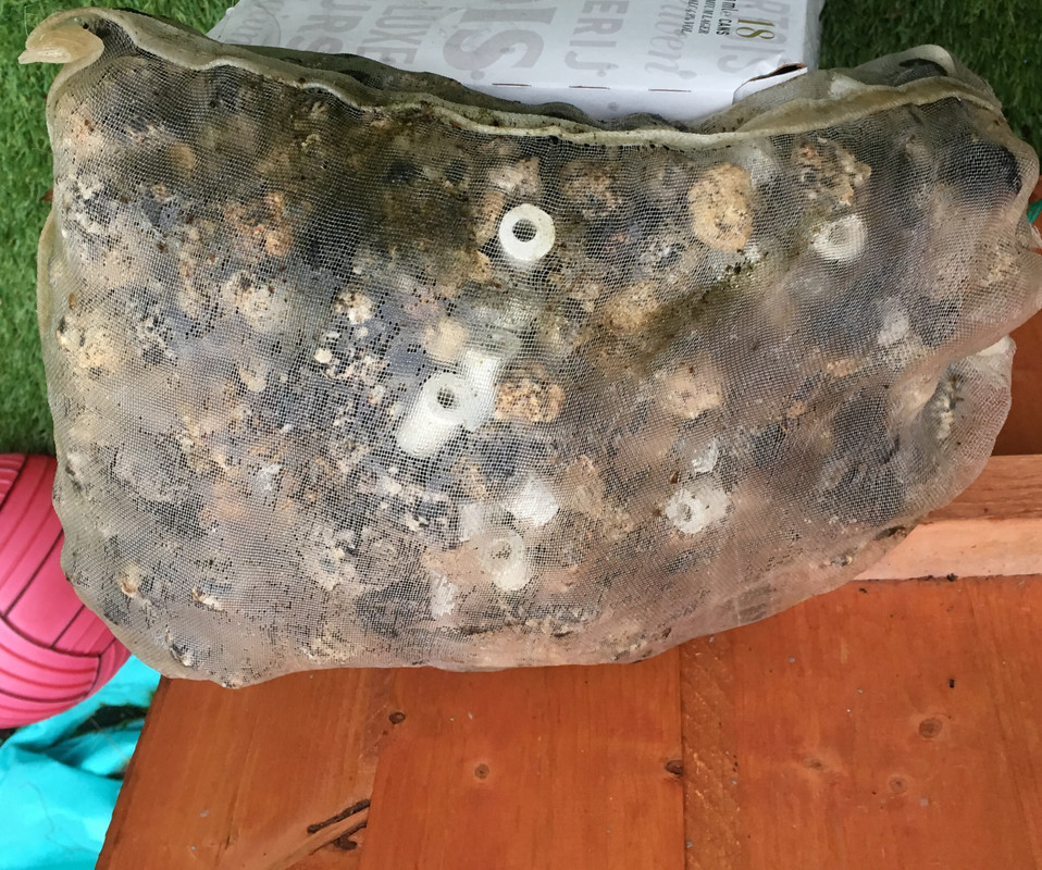 FDB21701-421D-4712-B059-CBB19217B145