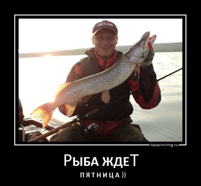 пятница демотиватор рыбалка джиг спиннинг мастер-класс Куляпин Андрей обучение судак щука рыбалка тр