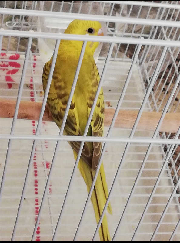 IMG_٢?١٨١٢?٢_١٢٥٨٤٩