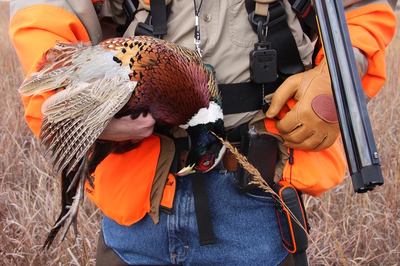 Hunters Role in Wildlife Conservation