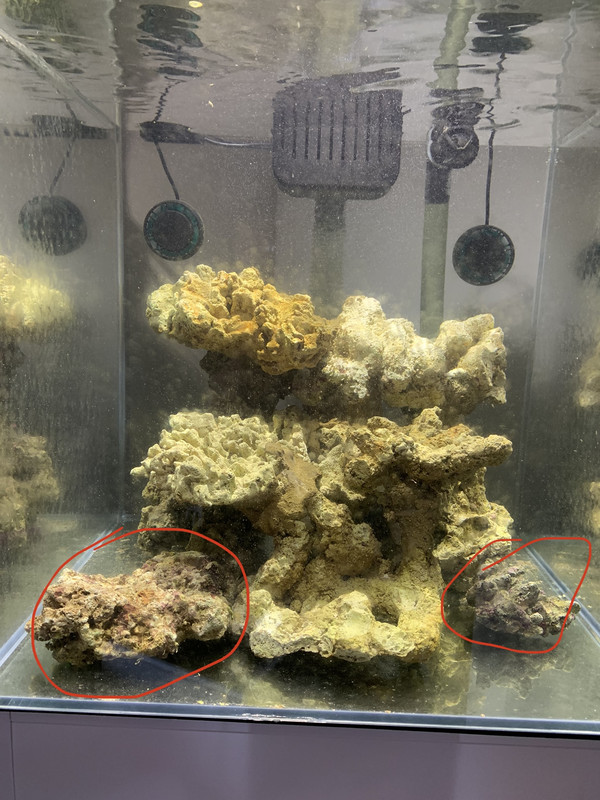 7423371A-B2C9-4468-BB97-1B284F3834CA