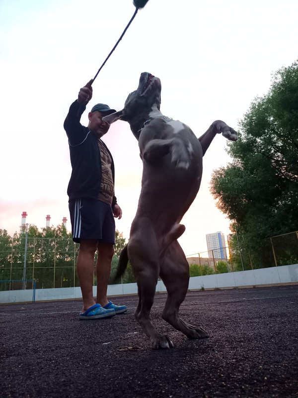 59CB9DD7-BAD7-4928-923C-91B7FBCB657E