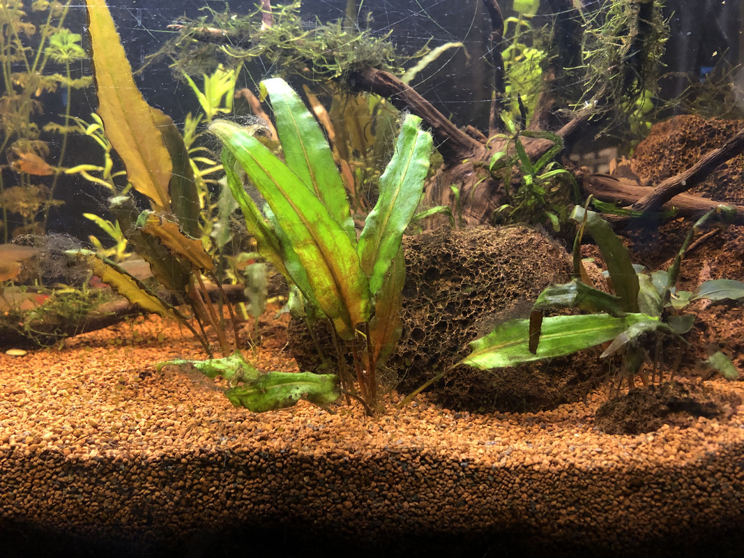 5EFC39A5-4271-4AF6-A4E7-E290C835C621