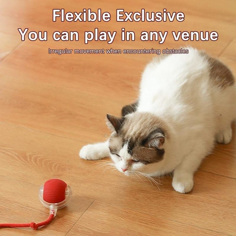 Pelota interactiva para gatos